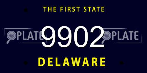 9902 Delaware License Plate