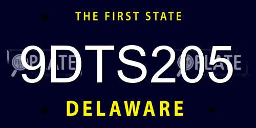 9DTS205 Delaware License Plate