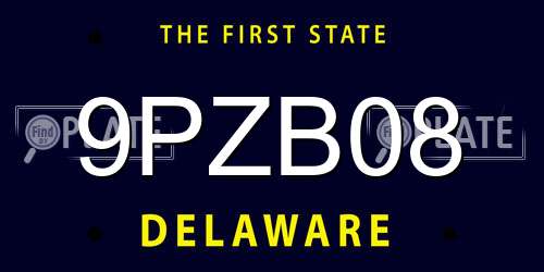 9PZB08 Delaware License Plate