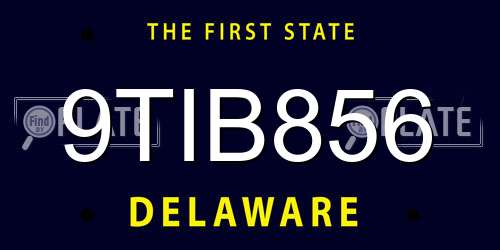 9TIB856 Delaware License Plate