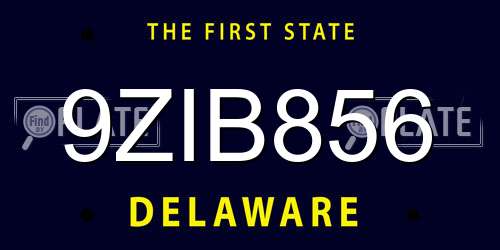 9ZIB856 Delaware License Plate