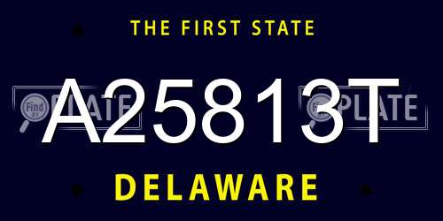 A25813T Delaware License Plate
