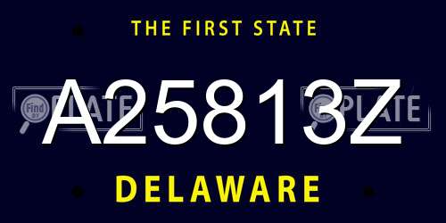 A25813Z Delaware License Plate