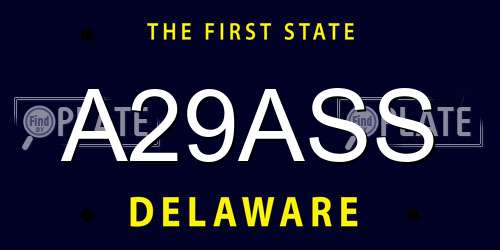 A29ASS Delaware License Plate