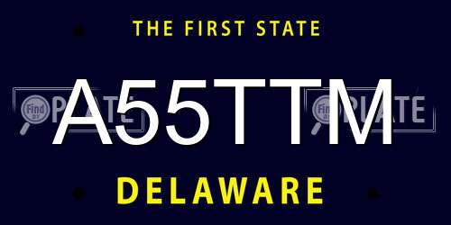 A55TTM Delaware License Plate