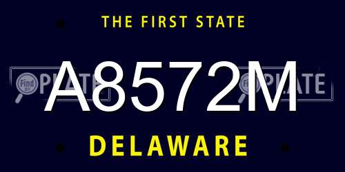 A8572M Delaware License Plate