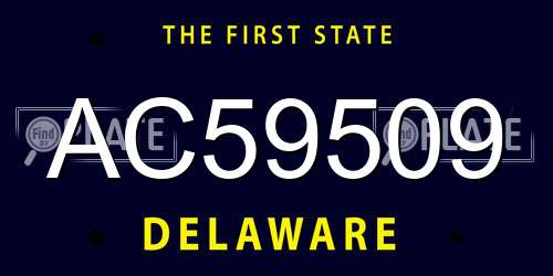 AC59509 Delaware License Plate