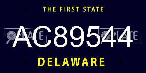 AC89544 Delaware License Plate