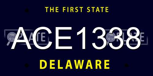 ACE1338 Delaware License Plate