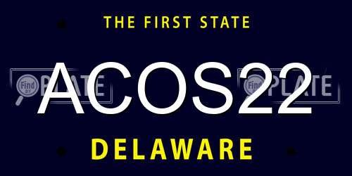 ACOS22 Delaware License Plate