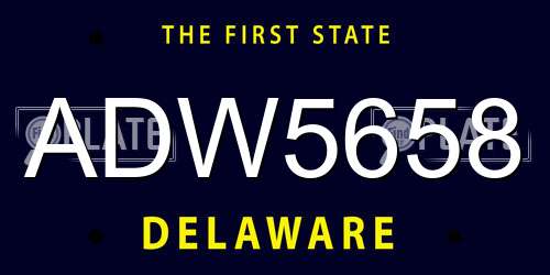 ADW5658 Delaware License Plate