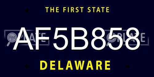 AF5B858 Delaware License Plate