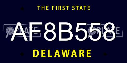 AF8B558 Delaware License Plate