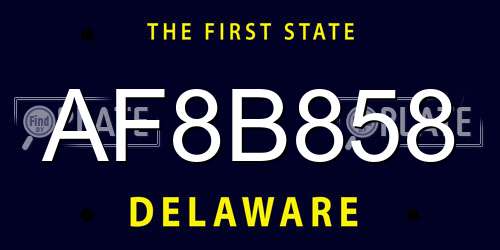 AF8B858 Delaware License Plate