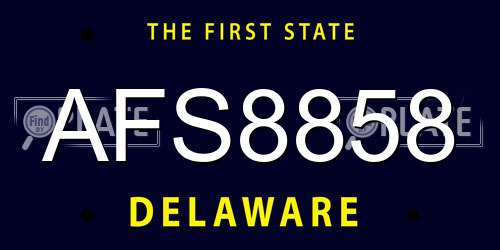 AFS8858 Delaware License Plate