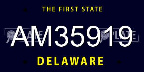 AM35919 Delaware License Plate