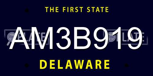 AM3B919 Delaware License Plate