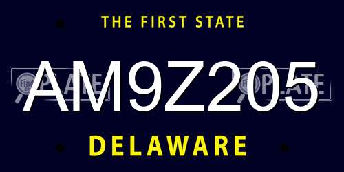 AM9Z205 Delaware License Plate