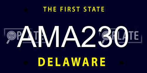 AMA230 Delaware License Plate