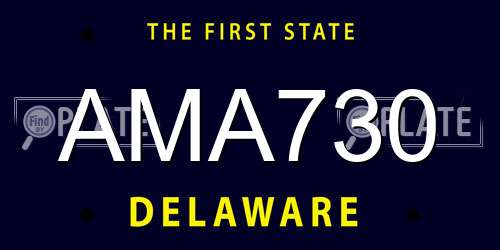 AMA730 Delaware License Plate