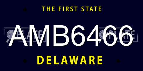 AMB6466 Delaware License Plate