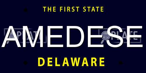 AMEDESE Delaware License Plate