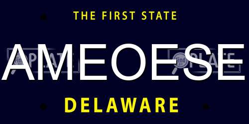 AMEOESE Delaware License Plate