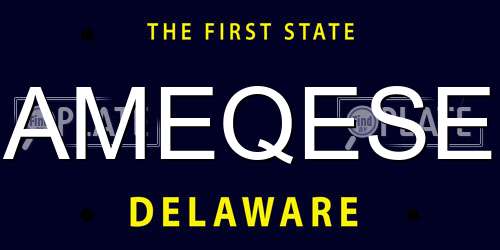 AMEQESE Delaware License Plate