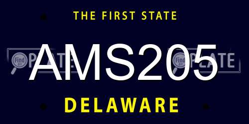 AMS205 Delaware License Plate