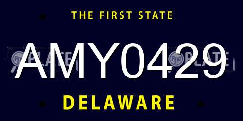 AMY0429 Delaware License Plate