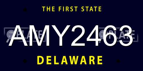 AMY2463 Delaware License Plate