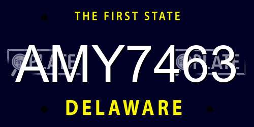 AMY7463 Delaware License Plate