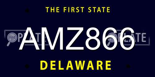 AMZ866 Delaware License Plate