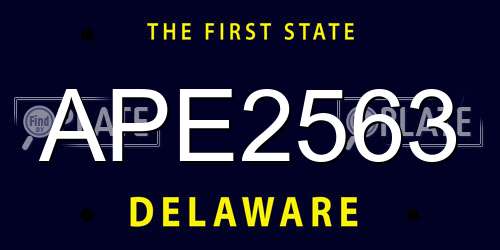APE2563 Delaware License Plate