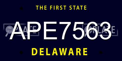 APE7563 Delaware License Plate