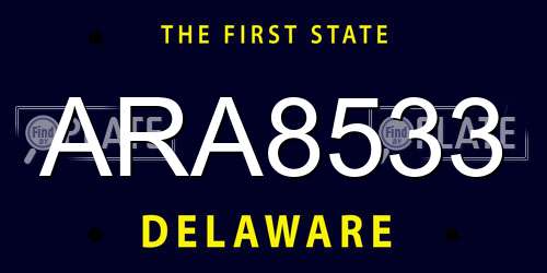 ARA8533 Delaware License Plate