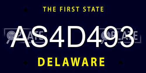 AS4D493 Delaware License Plate
