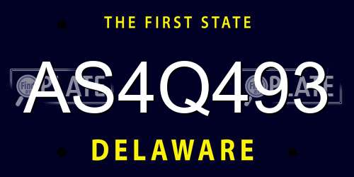 AS4Q493 Delaware License Plate