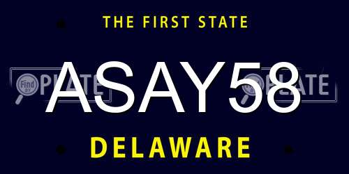 ASAY58 Delaware License Plate