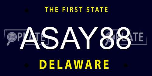 ASAY88 Delaware License Plate