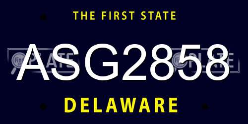 ASG2858 Delaware License Plate