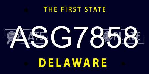 ASG7858 Delaware License Plate