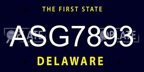 ASG7893 Delaware License Plate