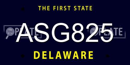 ASG825 Delaware License Plate