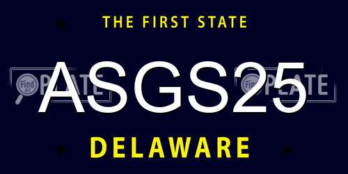 ASGS25 Delaware License Plate