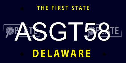ASGT58 Delaware License Plate