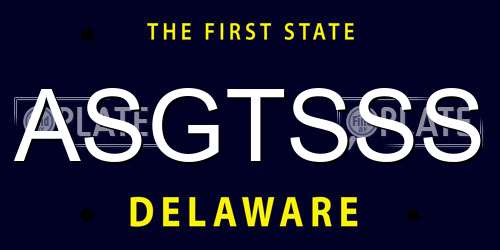 ASGTSSS Delaware License Plate
