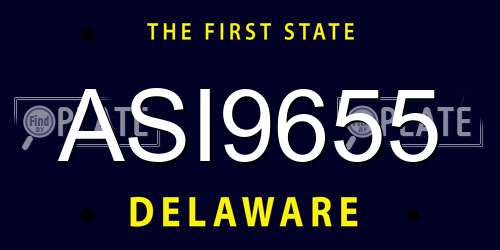 ASI9655 Delaware License Plate