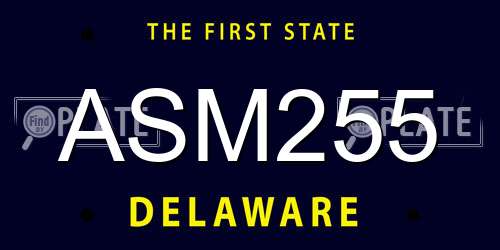 ASM255 Delaware License Plate