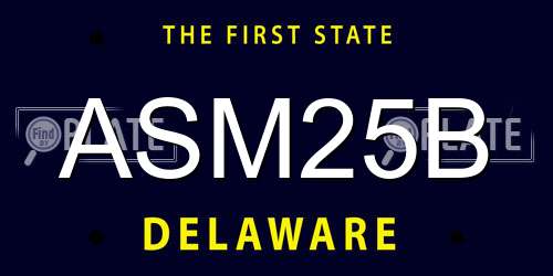 ASM25B Delaware License Plate